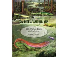 THE RISE OF AMPHIBIANS