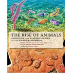 THE RISE OF ANIMALS