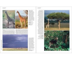 HANDBOOK OF THE MAMMALS OF THE WORLD. VOL. 2 HOOFED MAMMALS 3