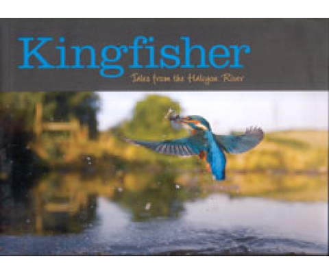 KINGFISHER. TALES FROM THE HALCYON RIVER