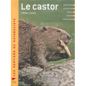 LE CASTOR