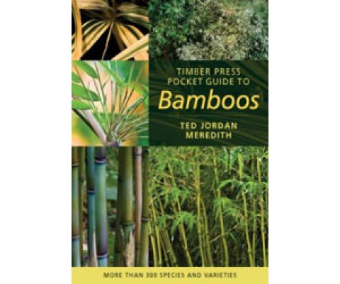TIMBER PRESS POCKET GUIDE TO BAMBOOS