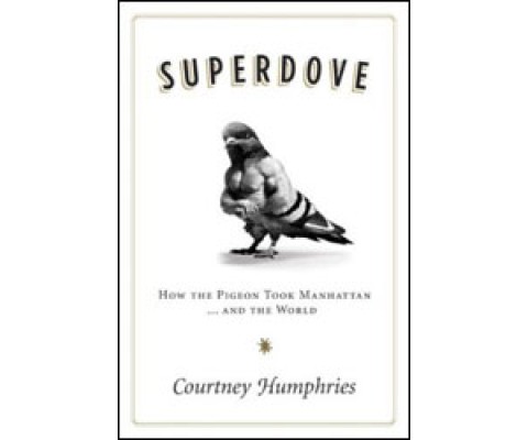 SUPERDOVE. HOW THE PIGEON TOOK MANHATTAN...AND THE WORLD