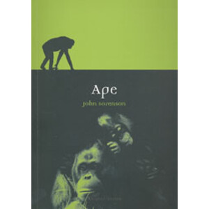 APE