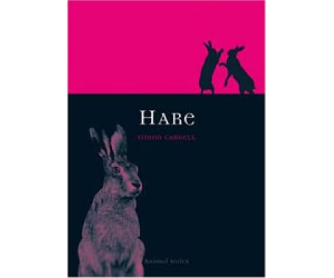 HARE