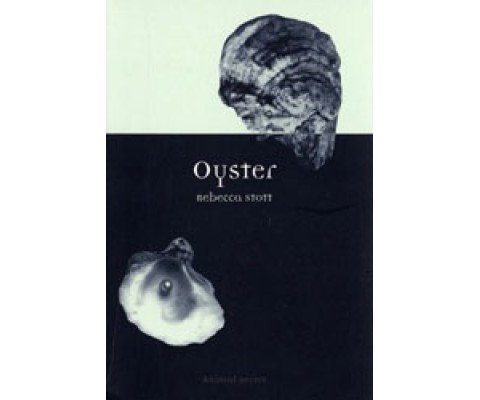 OYSTER