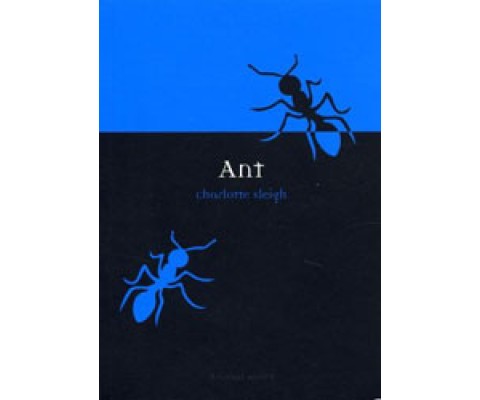 ANT
