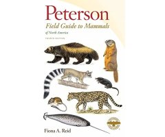 PETERSON FIELD GUIDES. MAMMALS OF NORTH AMERICA