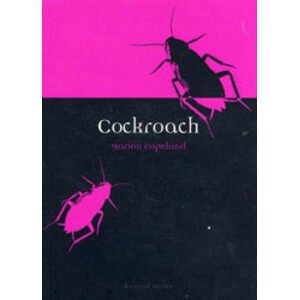 COCKROACH