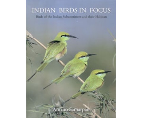 INDIAN BIRDS IN FOCUS. BIRDS OF THE INDIAN SUBCONTINENT AND THEIR HABITATS