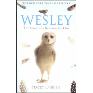 WESLEY. THE STORY OF A REMARKABLE OWL