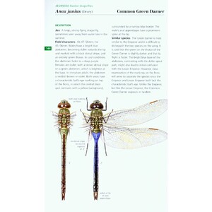 FIELD GUIDE TO THE DRAGONFLIES AND DAMSELFLIES OF GREAT BRITAIN AND IRELAND 4