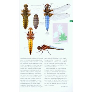 FIELD GUIDE TO THE DRAGONFLIES AND DAMSELFLIES OF GREAT BRITAIN AND IRELAND 5