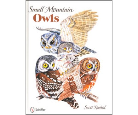 SMALL MOUNTAIN OWLS