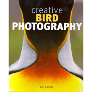 CREATIVE BIRD PHOTOGRAPHY