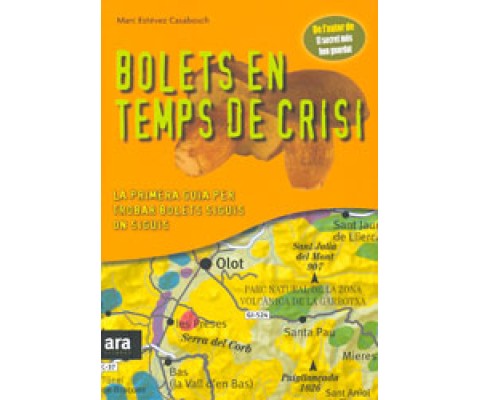 BOLETS EN TEMPS DE CRISI. LA PRIMERA GUIA PER TROBAR BOLETS SIGUIS ON SIGUIS