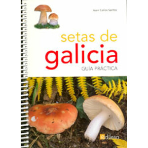 SETAS DE GALÍCIA. GUÍA PRÁCTICA