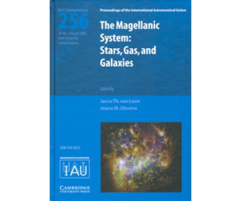 THE MAGELLANIC SYSTEM: STARS, GAS, GALAXIES