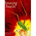 AMAZING INSECTS