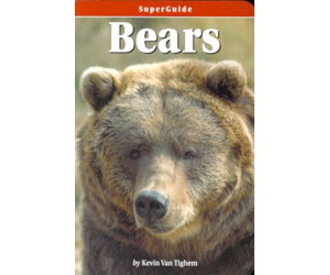SUPERGUIDE: BEARS