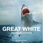 GREAT WHITE. THE MAJESTY OF SHARKS