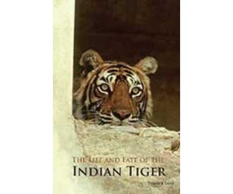 THE LIFE AND FATE OF THE INDIAN TIGER