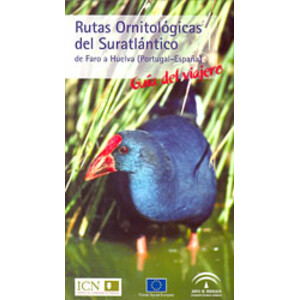RUTAS ORNITOLÓGICAS DEL SURATLÁNTICO DE FARO A HUELVA (PORTUGAL-ESPAÑA)