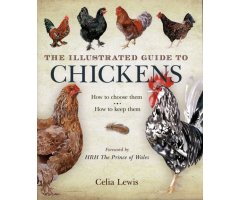 THE ILLUSTRATED GUIDE TO CHICKENS. HOW TO CHOOSE THEM, HOW TO KEEP THEM