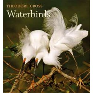 WATERBIRDS