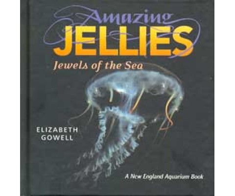AMAZING JELLIES. JEWELS OF THE SEA