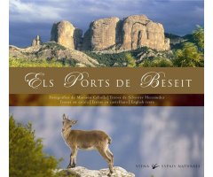ELS PORTS DE BESEIT