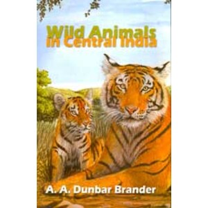 WILD ANIMALS IN CENTRAL INDIA