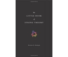 THE LITTLE BOOK OF STRING THEORY 