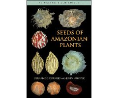SEEDS OF AMAZONIAN PLANTS  