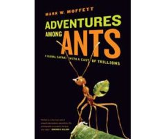 ADVENTURES AMONG ANTS. A GLOBAL SAFARI WITH A CAST OF TRILLIONS 