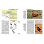 HANDBOOK OF THE BIRDS OF THE WORLD, VOL. 15 . WEAVERS TO  NEW WORLD WARBLERS 3