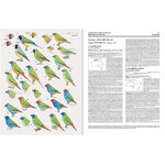 HANDBOOK OF THE BIRDS OF THE WORLD, VOL. 15 . WEAVERS TO  NEW WORLD WARBLERS 4