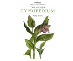 THE GENUS CYPRIPEDIUM