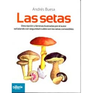 LAS SETAS. DESCRIPCIÓN Y LÁMINAS ILUSTRADAS POR EL AUTOR