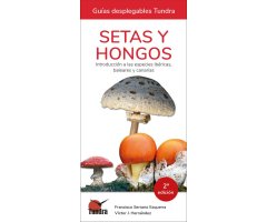 SETAS Y HONGOS. INTRODUCCIÓN A LAS ESPECIES IBÉRICAS, BALEARES Y CANARIAS. GUÍAS DESPLEGABLES TUNDRA