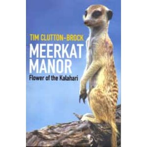 MEERKAT MANOR. FLOWER OF THE KALAHARI