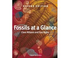 FOSSILS AT A GLANCE     