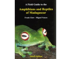 A FIELD GUIDE TO THE AMPHIBIANS AND REPTILES OF MADAGASCAR