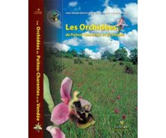 LES ORCHIDÉES DE POITOU-CHARENTES ET DE VENDÉE 2