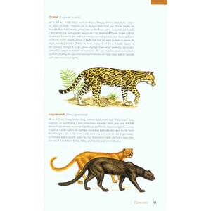 THE WILDLIFE OF COSTA RICA. A FIELD GUIDE_1