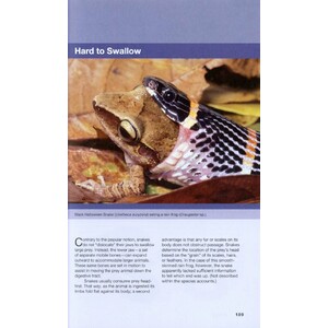 THE WILDLIFE OF COSTA RICA. A FIELD GUIDE 4