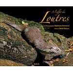À L'AFFÛT DES LOUTRES