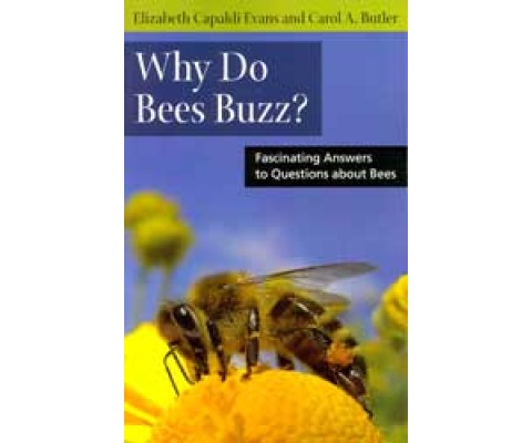 WHY DO BEES BUZZ? FASCINATING ANSWERS TO QUESTIONS ABOUT BEES