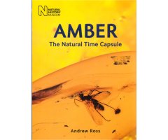 AMBER: THE NATURAL TIME CAPSULE 