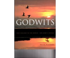 GODWITS. LONG-HAUL CHAMPIONS      